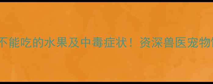 图片 10种泰迪犬不能吃的水果及中毒症状！资深兽医宠物饮食黑名单1