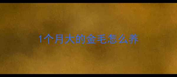 图片 1个月大的金毛怎么养