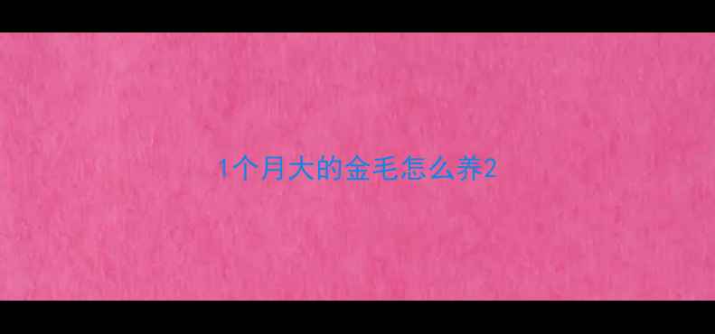 图片 1个月大的金毛怎么养2