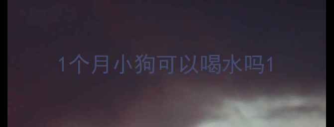 图片 1个月小狗可以喝水吗1