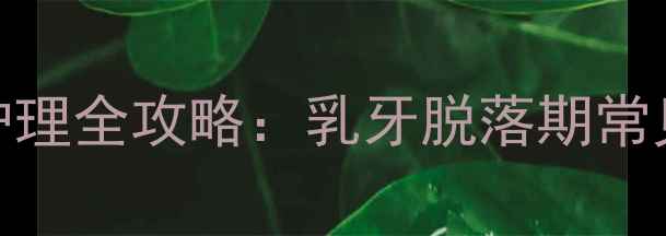 图片 2个月大金毛幼犬牙齿护理全攻略：乳牙脱落期常见问题与科学养护指南1