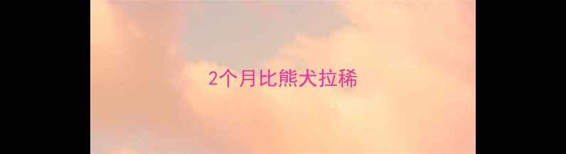 图片 2个月比熊犬拉稀