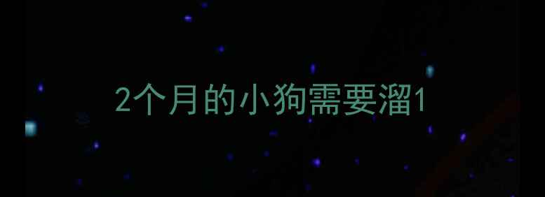 图片 2个月的小狗需要溜1