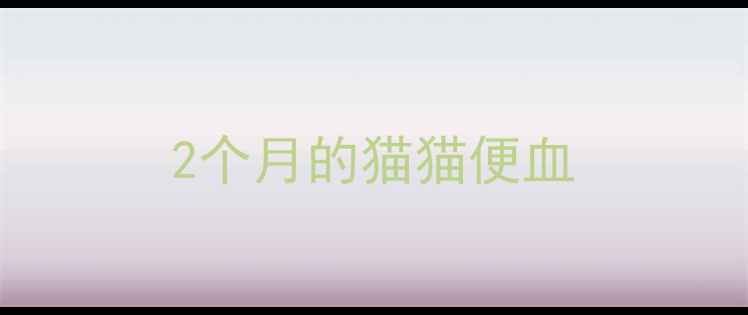 图片 2个月的猫猫便血