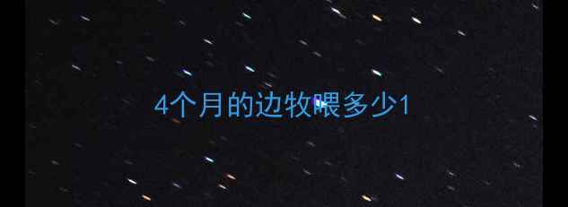 图片 4个月的边牧喂多少1