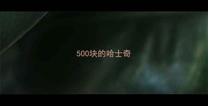 图片 500块的哈士奇