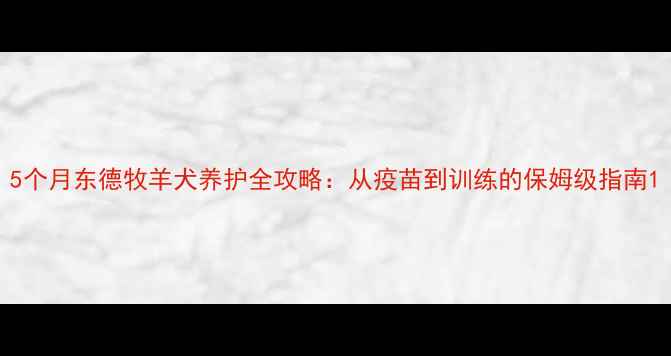 图片 5个月东德牧羊犬养护全攻略：从疫苗到训练的保姆级指南1