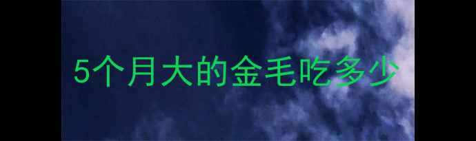 图片 5个月大的金毛吃多少