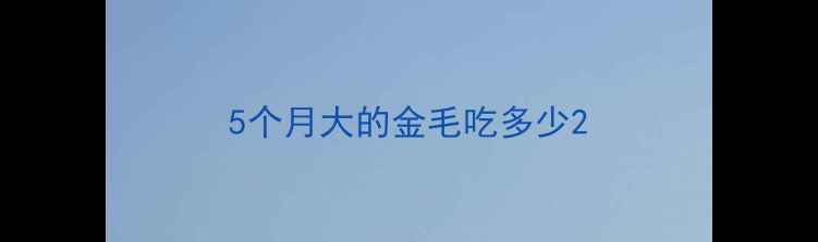 图片 5个月大的金毛吃多少2