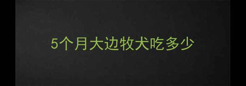 图片 5个月大边牧犬吃多少