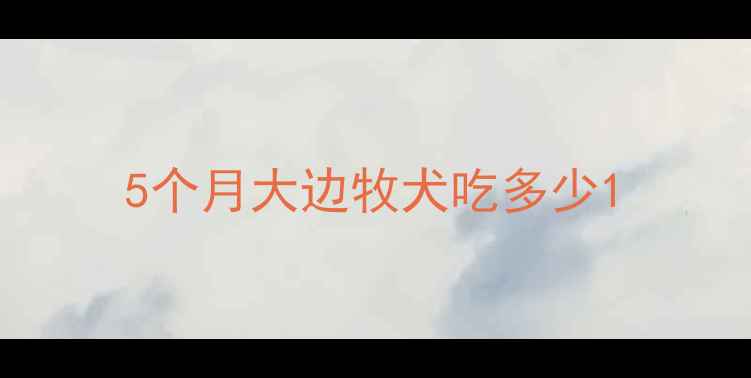 图片 5个月大边牧犬吃多少1