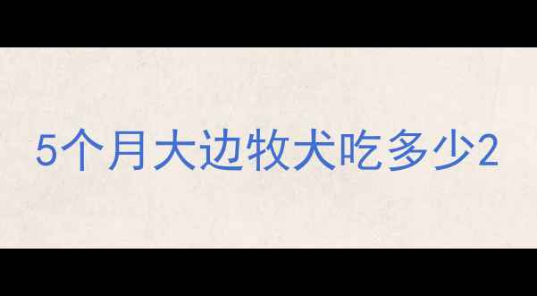 图片 5个月大边牧犬吃多少2