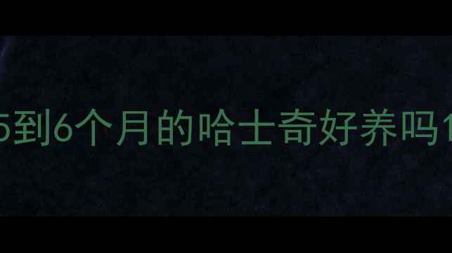 图片 5到6个月的哈士奇好养吗1