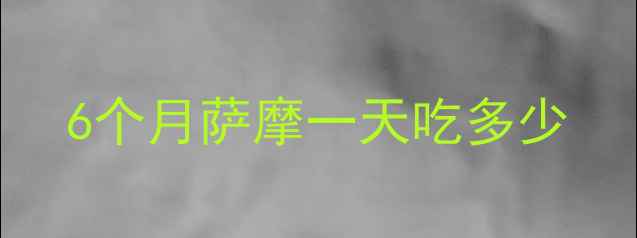 图片 6个月萨摩一天吃多少