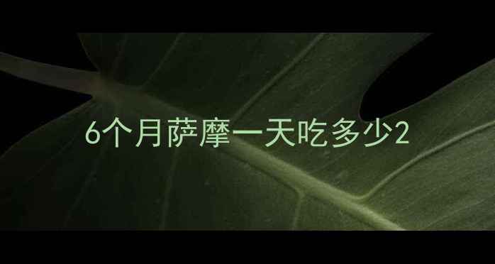 图片 6个月萨摩一天吃多少2