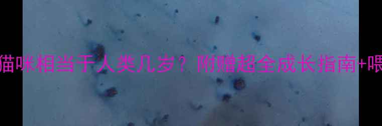 图片 7个月大的猫咪相当于人类几岁？附赠超全成长指南+喂养秘籍🐾2