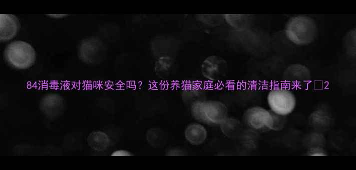 图片 84消毒液对猫咪安全吗？这份养猫家庭必看的清洁指南来了🐾2