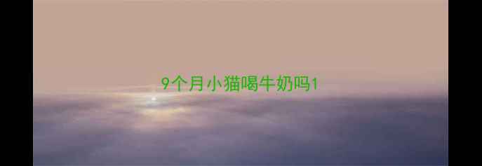 图片 9个月小猫喝牛奶吗1