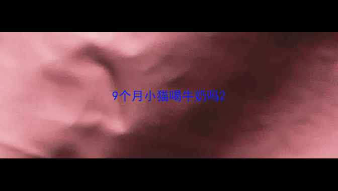 图片 9个月小猫喝牛奶吗2