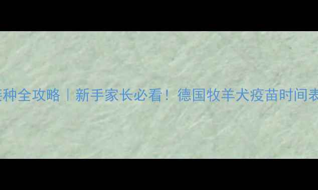 图片 ✨德牧疫苗接种全攻略｜新手家长必看！德国牧羊犬疫苗时间表+避坑指南🐾