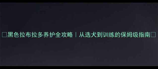 图片 ✨黑色拉布拉多养护全攻略｜从选犬到训练的保姆级指南🐾