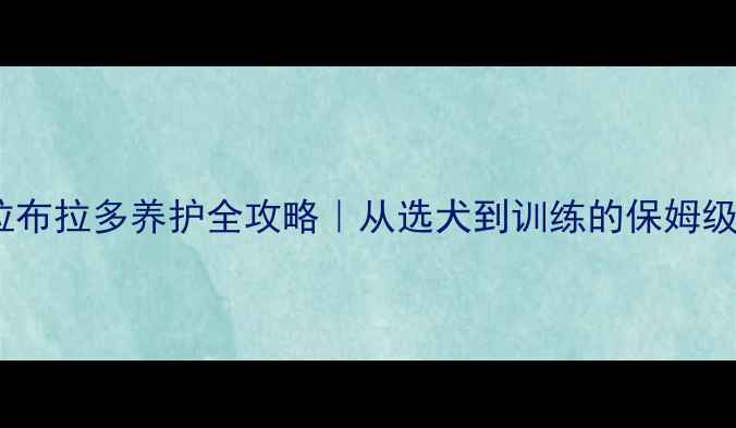 图片 ✨黑色拉布拉多养护全攻略｜从选犬到训练的保姆级指南🐾1
