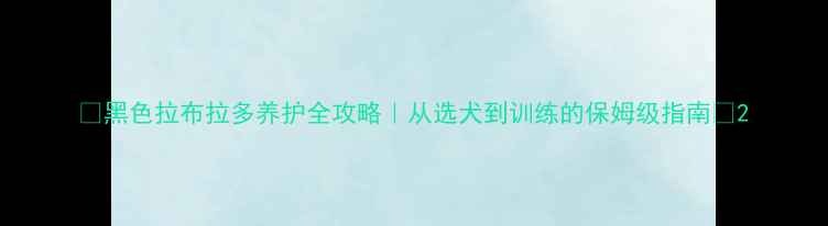 图片 ✨黑色拉布拉多养护全攻略｜从选犬到训练的保姆级指南🐾2