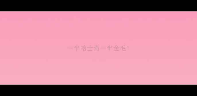 图片 一半哈士奇一半金毛1