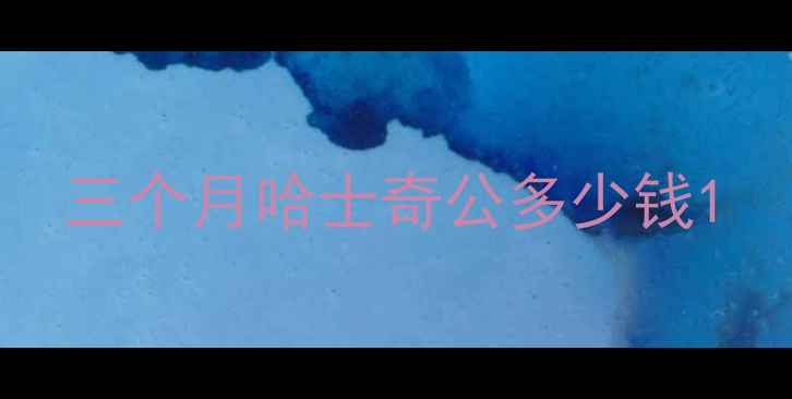 图片 三个月哈士奇公多少钱1