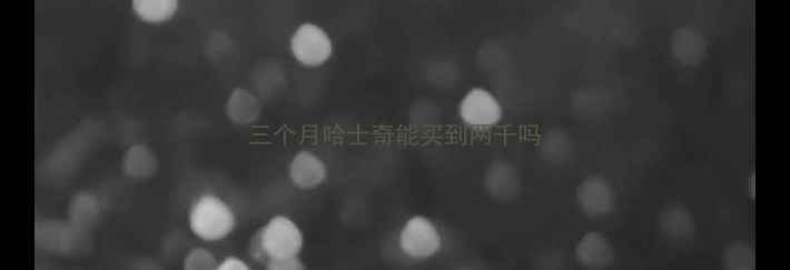 图片 三个月哈士奇能买到两千吗