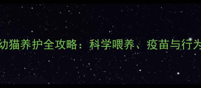 图片 三个月大幼猫养护全攻略：科学喂养、疫苗与行为训练指南