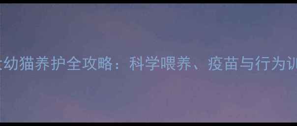 图片 三个月大幼猫养护全攻略：科学喂养、疫苗与行为训练指南2