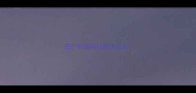 图片 三个月猫咪拉稀怎么办2