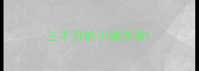 图片 三个月的小猫洗澡1