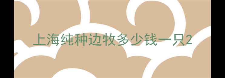 图片 上海纯种边牧多少钱一只2