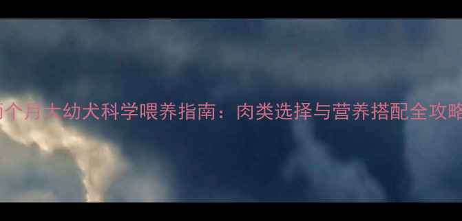 图片 两个月大幼犬科学喂养指南：肉类选择与营养搭配全攻略2