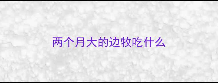 图片 两个月大的边牧吃什么
