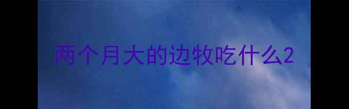 图片 两个月大的边牧吃什么2