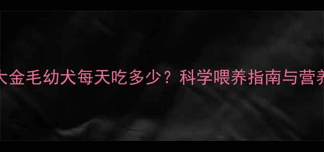 图片 两个月大金毛幼犬每天吃多少？科学喂养指南与营养配比表
