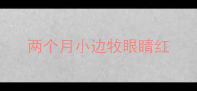 图片 两个月小边牧眼睛红