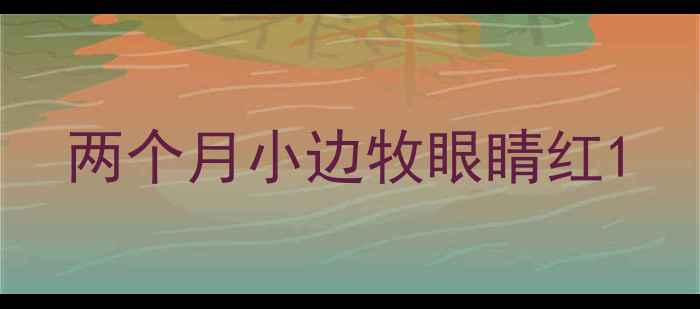 图片 两个月小边牧眼睛红1
