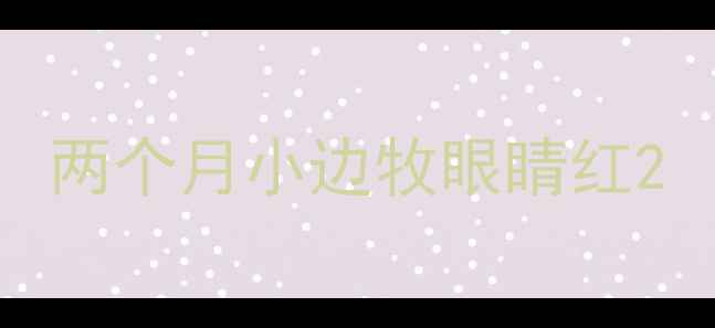 图片 两个月小边牧眼睛红2