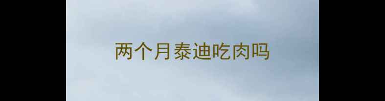 图片 两个月泰迪吃肉吗