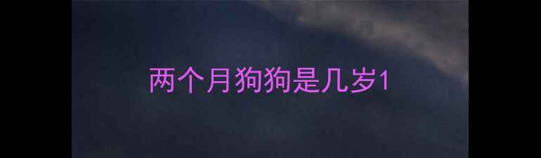 图片 两个月狗狗是几岁1