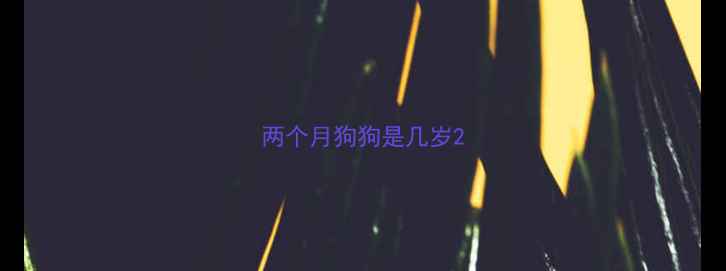 图片 两个月狗狗是几岁2