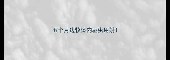 图片 五个月边牧体内驱虫用射1