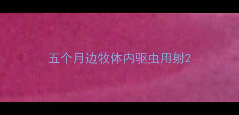 图片 五个月边牧体内驱虫用射2