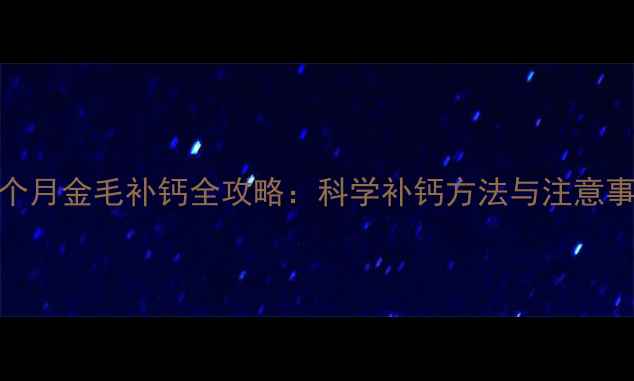 图片 五个月金毛补钙全攻略：科学补钙方法与注意事项
