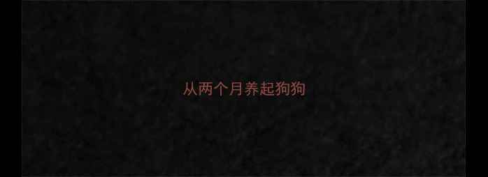 图片 从两个月养起狗狗