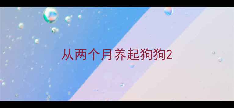 图片 从两个月养起狗狗2